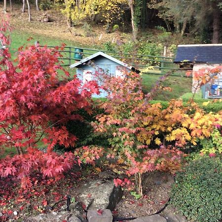 Tan Y Graig Bed & Breakfast Meifod Екстериор снимка