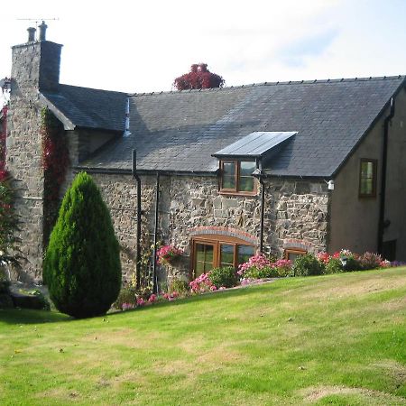 Tan Y Graig Bed & Breakfast Meifod Екстериор снимка