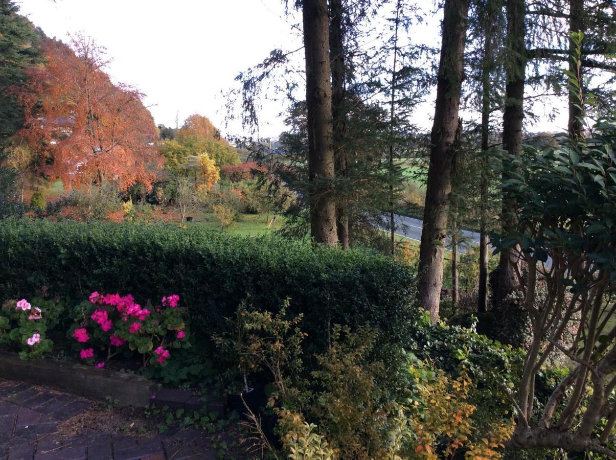 Tan Y Graig Bed & Breakfast Meifod Екстериор снимка